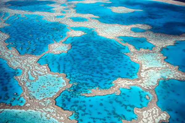 Diverse Landscapes