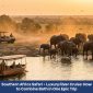 Southern Africa Safari + Luxury River Cruise How to Combine Both in One Epic Trip